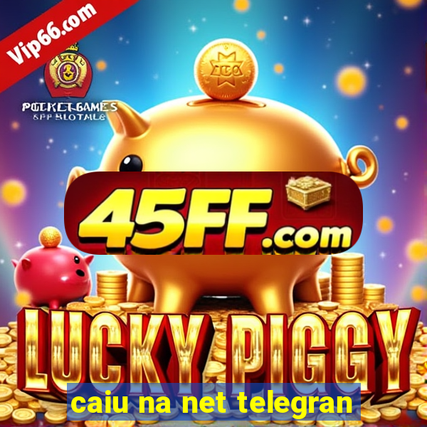 caiu na net telegran